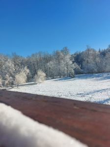 IMG-20240120-WA0016