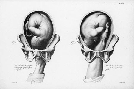 There is no organ like it. The vagina is truly "the stuff of life."