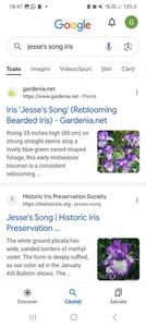 Screenshot_20240218_184702_Google