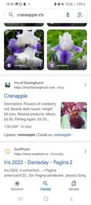 Screenshot_20240218_184626_Google