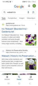 Screenshot_20240218_184604_Google
