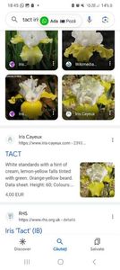 Screenshot_20240218_184543_Google