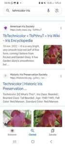 Screenshot_20240218_184524_Google