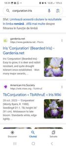Screenshot_20240218_183935_Google