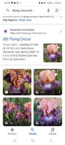 Screenshot_20240218_183958_Google