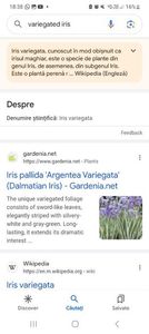 Screenshot_20240218_183807_Google