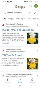 Screenshot_20240218_183821_Google