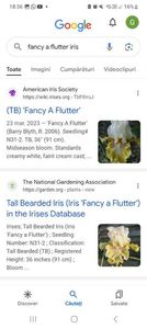 Screenshot_20240218_183646_Google