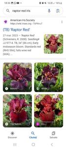 Screenshot_20240218_183615_Google
