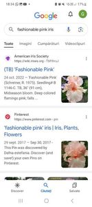 Screenshot_20240218_183430_Google