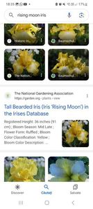 Screenshot_20240218_183530_Google