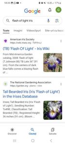 Screenshot_20240218_183550_Google