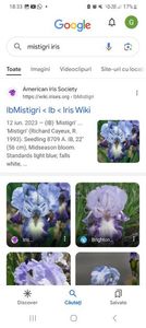 Screenshot_20240218_183311_Google