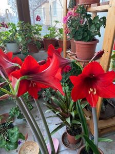 IMG-20230320-WA0010