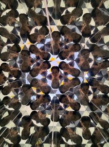 IMG-20230723-WA0023