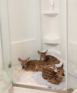 Gianna left them behind, — Help??!
