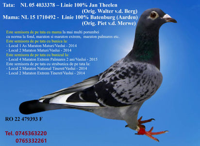 RO 22 479393 F Pret 150 Lei +  transportul