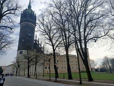 Img.2024.03.02