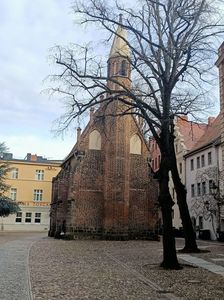 Img.2024.03.02