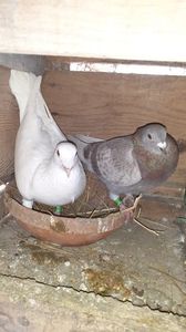 IMG-20240226-WA0004