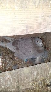 IMG-20240226-WA0003