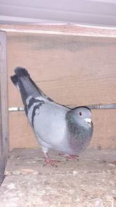 IMG-20240212-WA0007