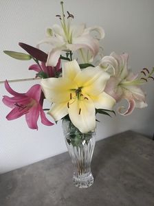 IMG20230723141117