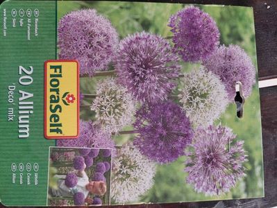 Hornbach