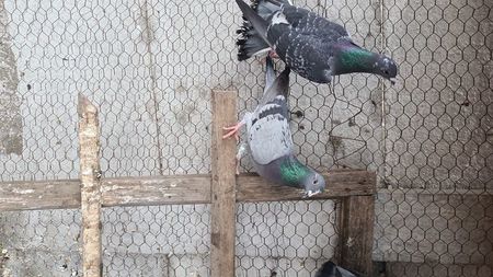 IMG-20240302-WA0026