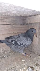 IMG-20240310-WA0000