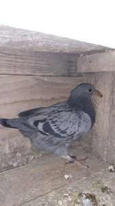 IMG-20240310-WA0011