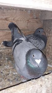 IMG-20240310-WA0052