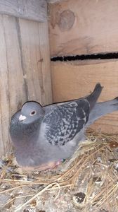 IMG-20240310-WA0048