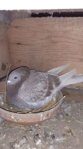 IMG-20240310-WA0046