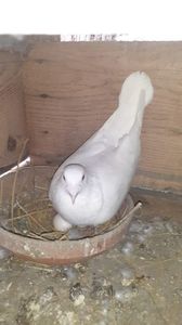 IMG-20240310-WA0025