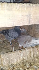 IMG-20240311-WA0024