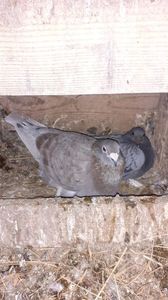 IMG-20240311-WA0022