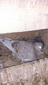 IMG-20240311-WA0014