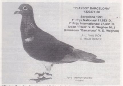 1 int Barcelona 1991 Jean Luc Van Roy
