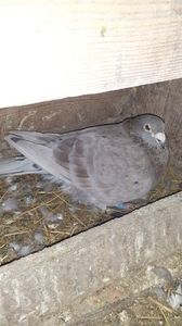 IMG-20240211-WA0028