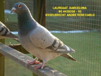 1 int Barcelona 1995