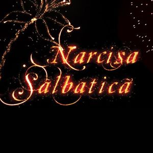 Narcisa Salbatica(2010-2011)