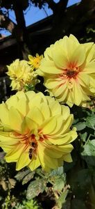 received_1238580707119061