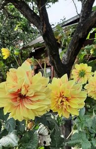received_940112974003063