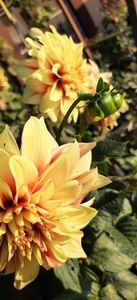 received_926970629137008