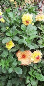 received_330418770014314