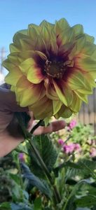received_1406592536631387