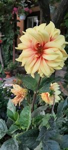 received_871985011361157