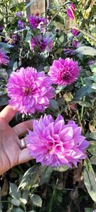 received_421048953640255