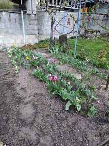 Img-2024.03.24
